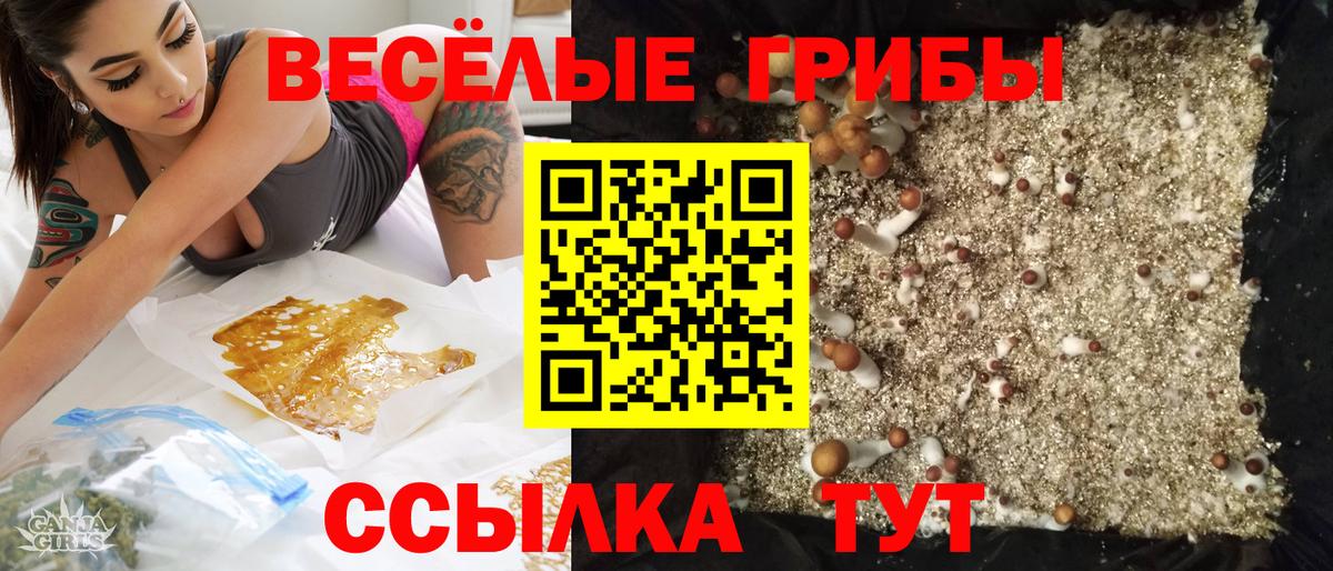 Галлюциногенные грибы Cubensis  хочу   Вход с VPN  Рославль  Псилоцибиновые грибы мицелий 
